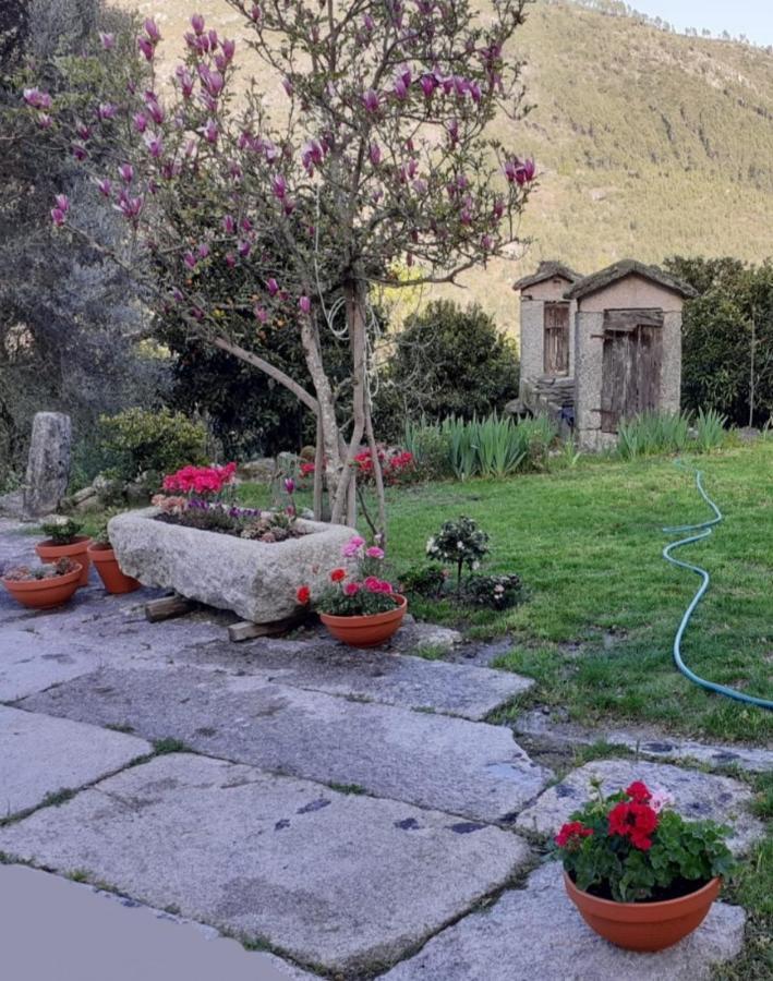 Сasa de vacaciones Dos Santos - Gerês